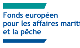 Fonds européen pour les affaires maritimes, la pêche et l'aquaculture - FEAMPA