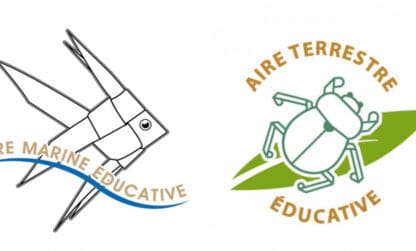 Ouverture de l’AAP Aires éducatives pour les nouveaux projets