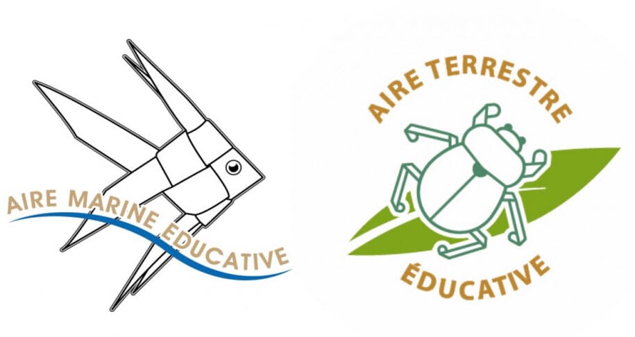 Ouverture de l’AAP Aires éducatives pour les projets existants