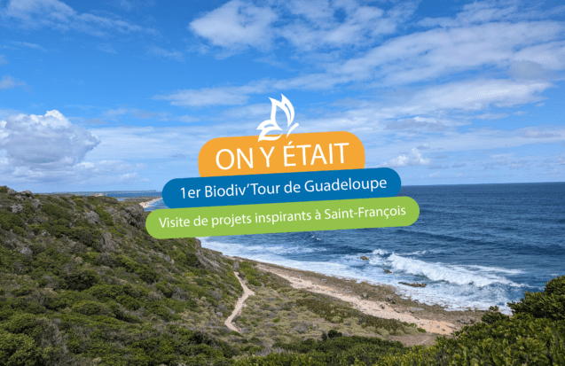 Le Biodiv’Tour à Saint-François