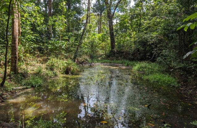 Le projet  « Culture et biodiversité dans les aires éducatives »