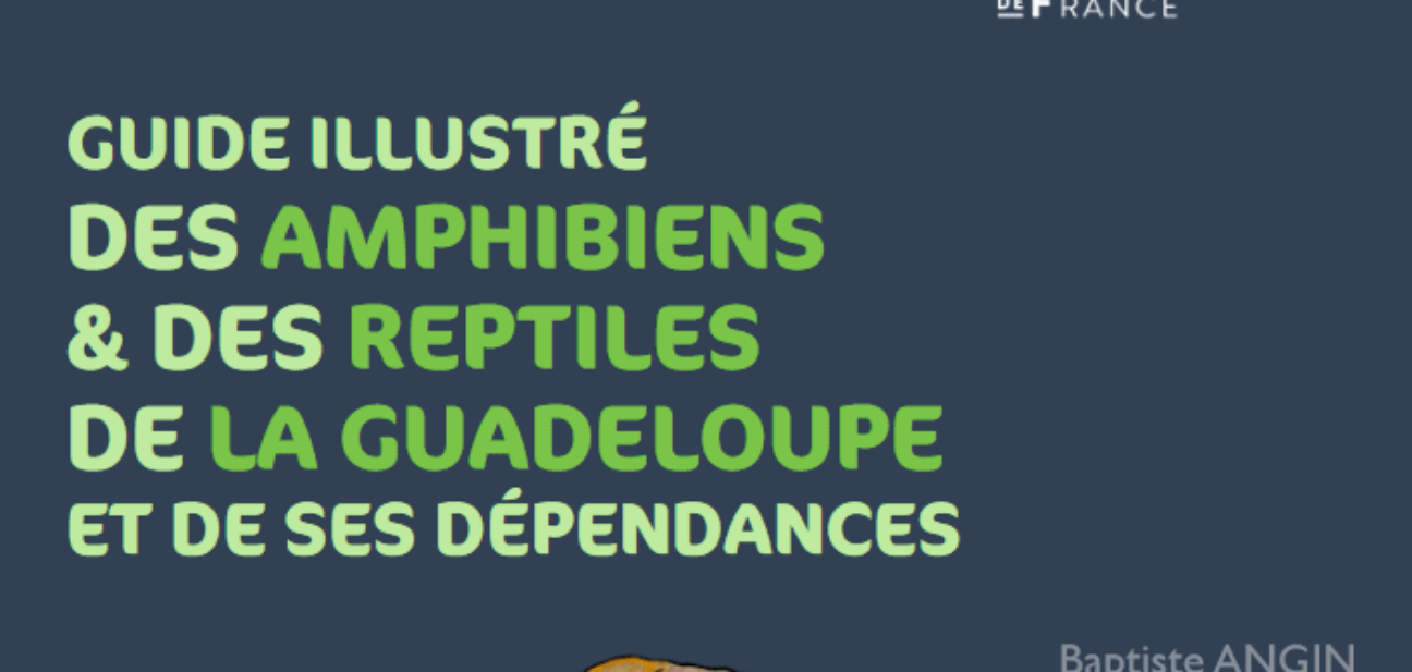 Publication du guide des amphibiens et reptiles de Guadeloupe