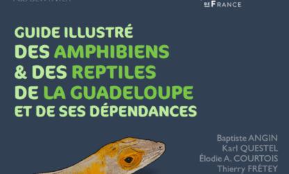 Publication du guide des amphibiens et reptiles de Guadeloupe