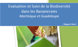 Évaluation et Suivi de la Biodiversité dans les Bananeraies