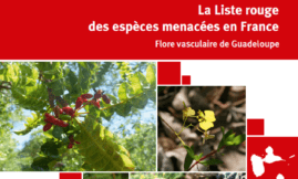 Liste rouge des espèces menacées – Flore de Guadeloupe