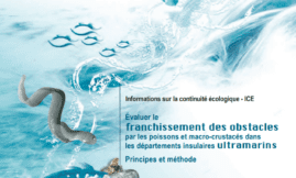 Franchissement des obstacles par les poissons et les crustacés