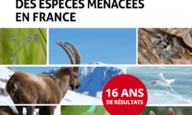 La Liste rouge des espèces menacées - 16 ans de résultats